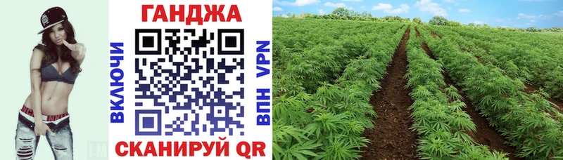 Купить наркоту Тавда Гашиш АМФ Псилоцибиновые грибы СОЛЬ МЕФ