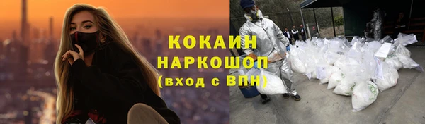 крисы Абаза