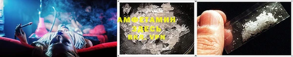 крисы Абаза