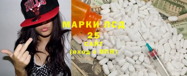 крисы Абаза
